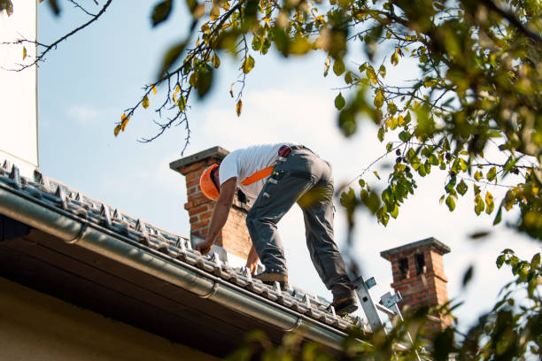 Best Gutter Installation and Roofing  in Winnfield, LA