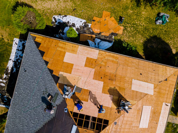 Quick and Trustworthy Emergency Roof Repair Services in Winnfield, LA