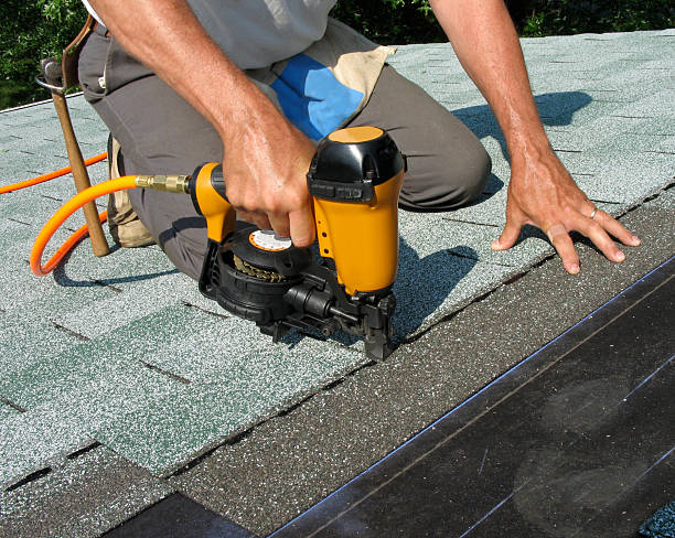 Best Roof Gutter Cleaning  in Winnfield, LA