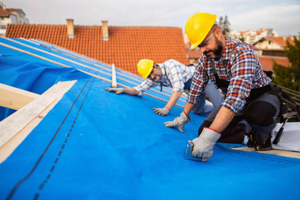 Roof Gutter Cleaning in Winnfield, LA