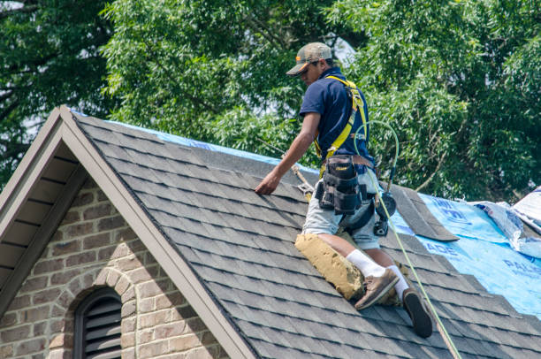 Best Roof Inspection Near Me  in Winnfield, LA
